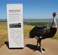 Birdman of the Coorong - SA Accommodation
