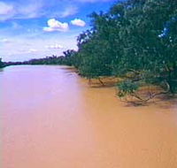 Warrego River - SA Accommodation