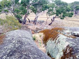 Tolmer Rocks - SA Accommodation 1