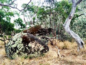 Tolmer Rocks - SA Accommodation 2