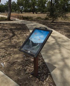 Wallam Creek, Bollon - SA Accommodation 1