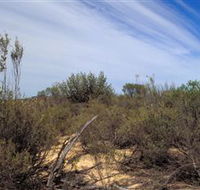 Wyperfeld National Park - SA Accommodation
