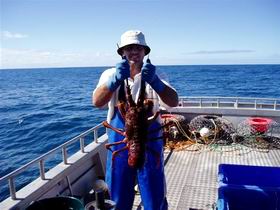 Lacepede Seafood - SA Accommodation 2