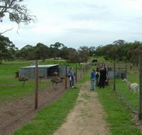 Avenue Emus - SA Accommodation