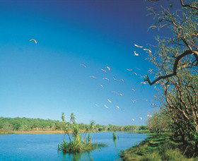 Nature's Way - SA Accommodation 5
