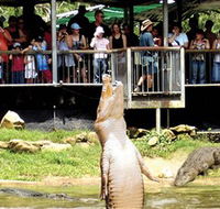 Crocodylus Park - SA Accommodation