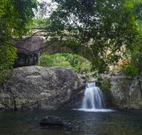 Paluma and Crystal Creek Rainforest - SA Accommodation