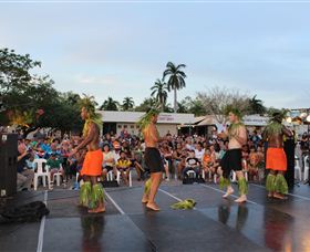 Darwin Community Arts - SA Accommodation 0