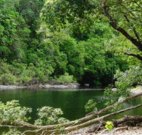 Broadwater Abergowrie State Forest - SA Accommodation