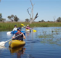 Marsh Meanders - SA Accommodation
