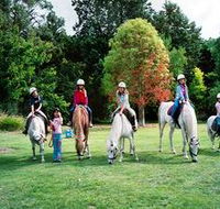 Limestone Coast Horseriding - SA Accommodation