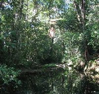 Wabunga Wayemba Charmillan Creek walking track - SA Accommodation