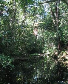 Wabunga Wayemba (Charmillan Creek Walking Track) - SA Accommodation 0