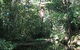 Misty Mountains Wilderness Walking Tracks - thumb 0