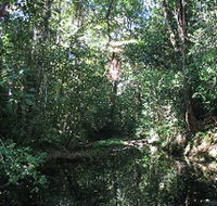 Misty Mountains Wilderness Walking Tracks - SA Accommodation