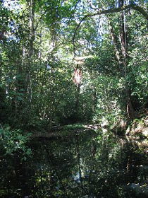 Misty Mountains Wilderness Walking Tracks - SA Accommodation 0