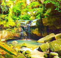 Carnarvon Gorge Carnarvon National Park - SA Accommodation