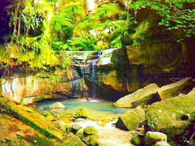Carnarvon Gorge, Carnarvon National Park - SA Accommodation 0