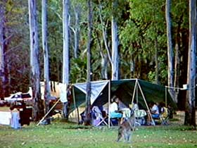 Carnarvon Gorge, Carnarvon National Park - SA Accommodation 2