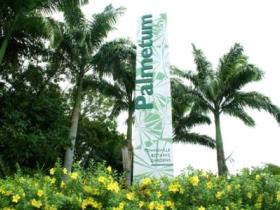 Townsville Palmetum - SA Accommodation 0