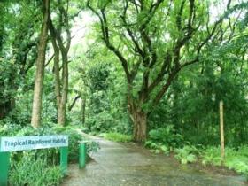 Townsville Palmetum - SA Accommodation 1