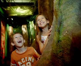 Museum Of Tropical Queensland - SA Accommodation 1