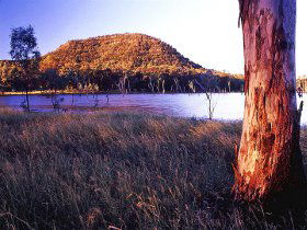 Nuga Nuga National Park And Lake Nuga Nuga - SA Accommodation 2