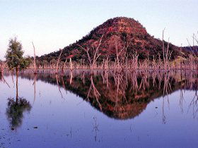 Nuga Nuga National Park And Lake Nuga Nuga - SA Accommodation 3