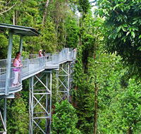 Mamu Tropical Skywalk - SA Accommodation