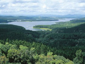 Lake Tinaroo ACT SA Accommodation