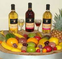 de Brueys Boutique Wines and Functions Venue - SA Accommodation