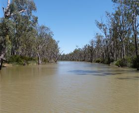 Wetlander Cruises - SA Accommodation 3