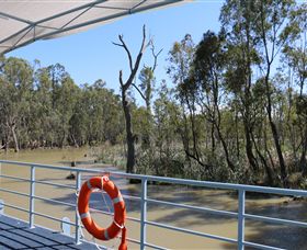 Wetlander Cruises - SA Accommodation 6