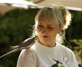 Simply Tomatoes - SA Accommodation 0