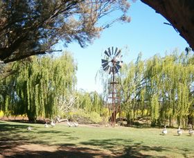Simply Tomatoes - SA Accommodation 7