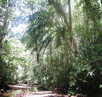 Mount Lewis National Park - SA Accommodation