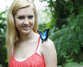 Australian Butterfly Sanctuary - SA Accommodation 0