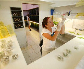 Australian Butterfly Sanctuary - SA Accommodation 2