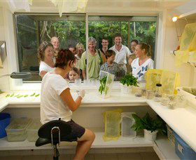 Australian Butterfly Sanctuary - SA Accommodation 3