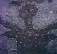 Quinkan Reserves Ancient Rock Art - SA Accommodation