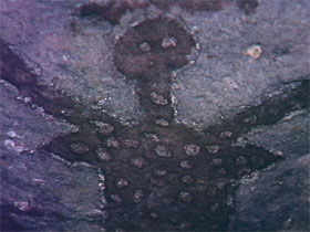 Quinkan Reserves Ancient Rock Art - SA Accommodation 0