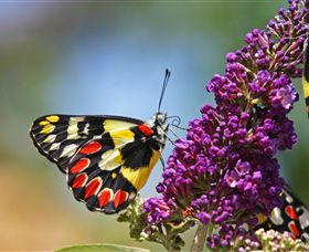 The Bible Museum - SA Accommodation 3