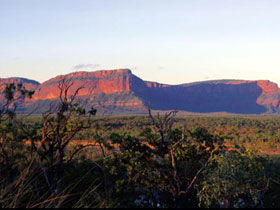 Blackdown Tableland National Park - SA Accommodation 0