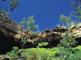 Blackdown Tableland National Park - SA Accommodation 1