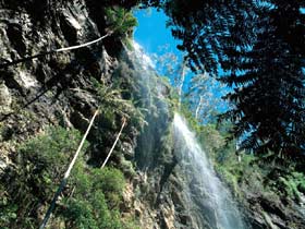 Blackdown Tableland National Park - SA Accommodation 2