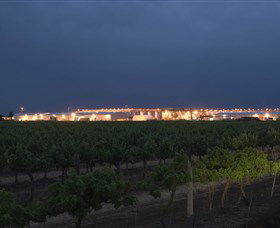 Casella Wines - SA Accommodation 2