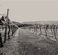 Halls Gap Estate - SA Accommodation