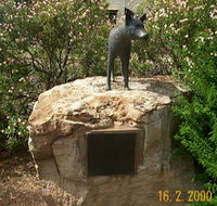 Dingo Statue - SA Accommodation