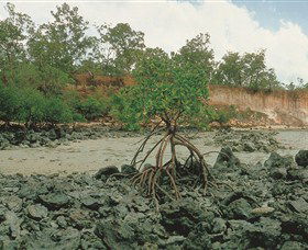 Garig Gunak Barlu National Park - SA Accommodation 3