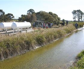 Cornalla Farm Tour - SA Accommodation 0